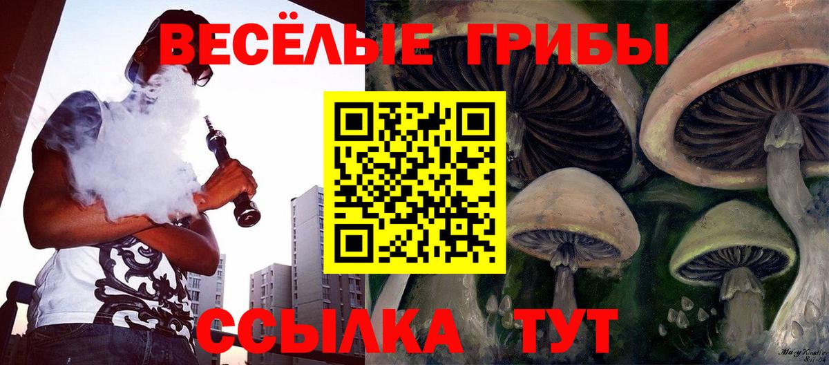 Галлюциногенные грибы прущие грибы  Вход с VPN  закладки  Звенигород 